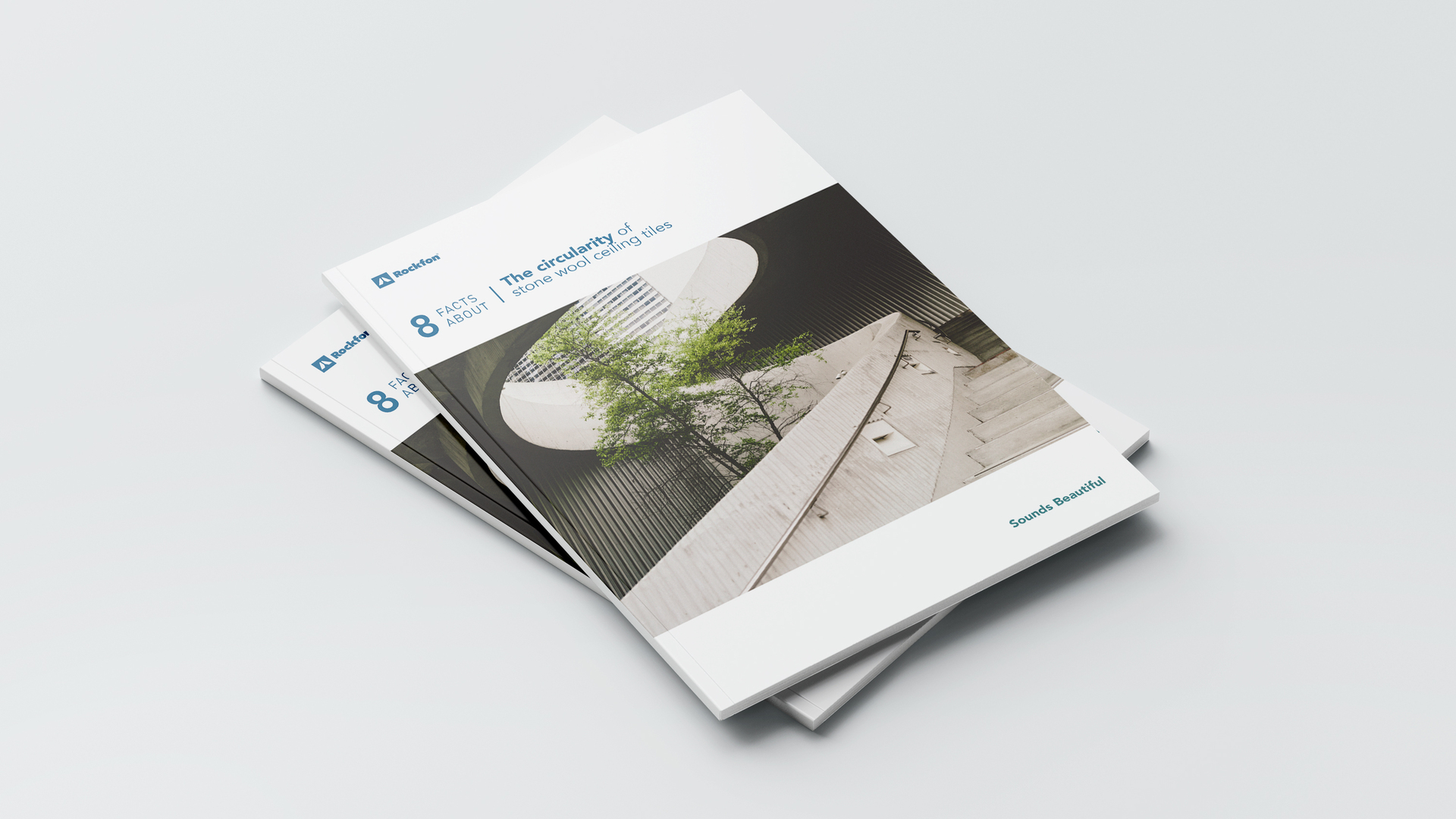 20211008 RW-RF ILLUS 798